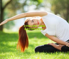 辽宁铁人客场一球制胜 稳居中甲积分榜首位